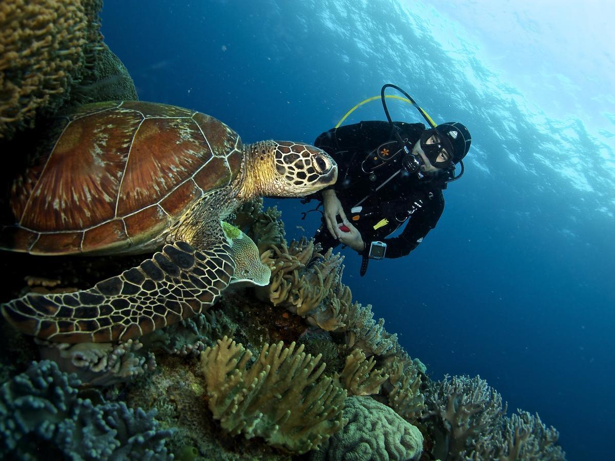 Liquid Dive Resort Dauin Extérieur photo